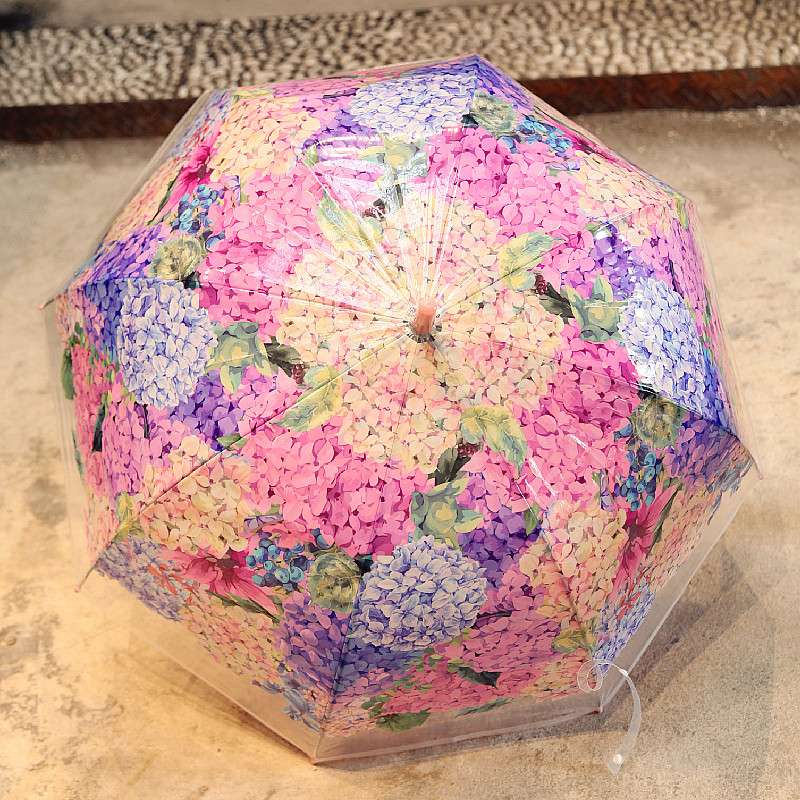 日傘 紫陽花舞う透明傘