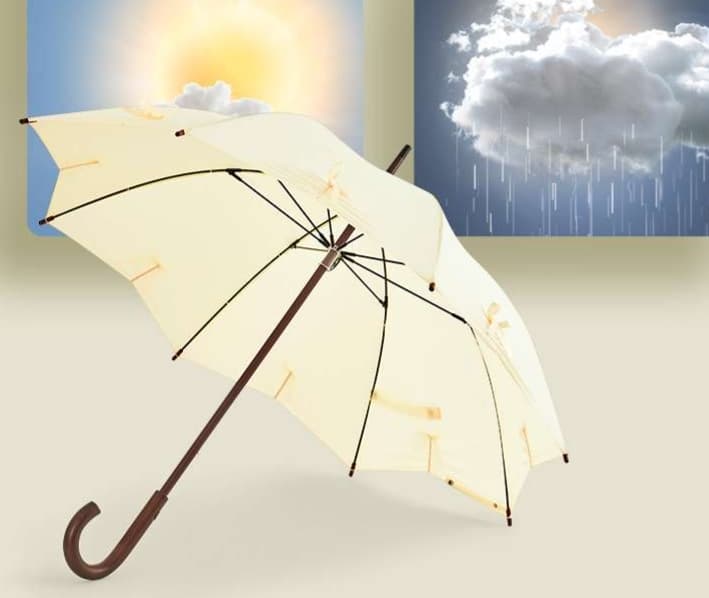 日傘 王室御用達 高級木製晴雨兼用傘